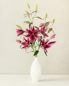 lily-s-in-a-white-vase-2-7