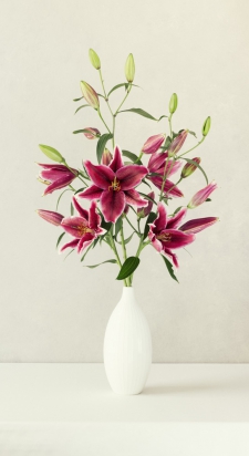 lillies-in-a-white-vase
